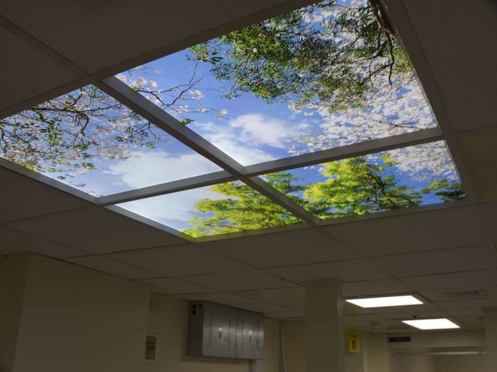 Hereford Hospital A&E Refurbishment by AP Group